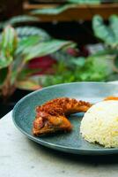 fried chicken with rice and chili photo