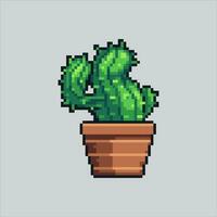 píxel Arte ilustración cactus en maceta. pixelado cactus. cactus en maceta pixelado para el píxel Arte juego y icono para sitio web y vídeo juego. antiguo colegio retro vector