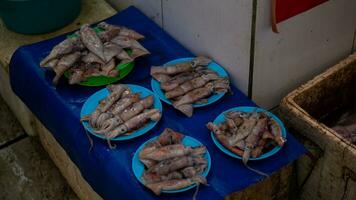 fresh seafood on the fish market photo