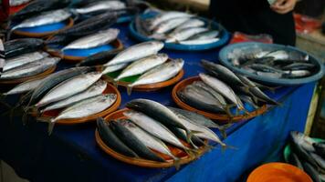 fresh seafood on the fish market photo