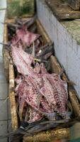 fresh seafood on the fish market photo