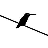 Perched Hummingbird Silhouette, can use Art Illustration, Website, Logo Gram, Pictogram or Graphic Design Element. Vector Illustration