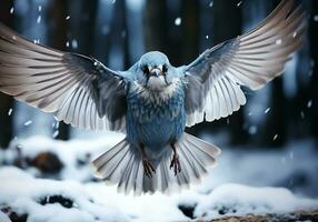 AI generated Little blue bird landing on the snow in winter landscape with falling snow photo