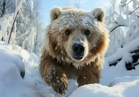 AI generated Huge brown bear in winter landscape with falling snow photo