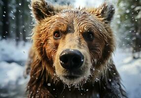ai generado enorme marrón oso en invierno paisaje con que cae nieve foto