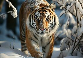 ai generado enorme siberiano Tigre en invierno paisaje con que cae nieve foto