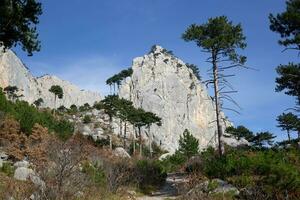 view of the mountains surrounded by coniferous and deciduous trees photo