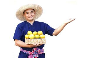 Handsome Asian man farmer wears hat, blue shirt, holds basket of organic orange fruits, make hand to present, isolated on white background. Concept, Agriculture occupation, produce crops to market. photo