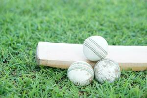 White cricket ball on wooden bat. Concept, sport equipment. Competitive sport. A cricket ball is made with a core of cork, covered by a leather case with a slightly raised sewn seam photo