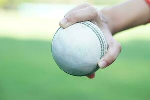 cerca arriba jugador de bolos mano sostiene un blanco cuero Grillo pelota. concepto, deporte equipo. competitivo deporte. un Grillo pelota es hecho con un núcleo de corcho, cubierto por un cuero caso. Listo a cuenco a bateador foto