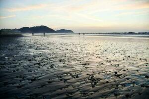 a beach with black sand and water at sunset photo