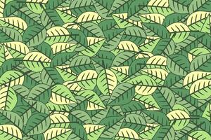 Tropical leaf wallpaper. Nature leaves pattern design. Vector illustration.
