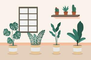 House plants home decor vector illustration. Green plants standing in pots. Indoor plants in a room.