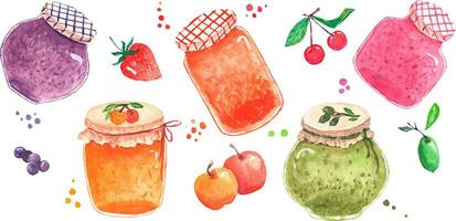 Collection of 18 elements. Jam, fruits are painted with watercolors. You can create patterns and cards yourself vector