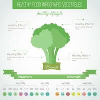 infografia con brócoli modelo con vitaminas y minerales vector