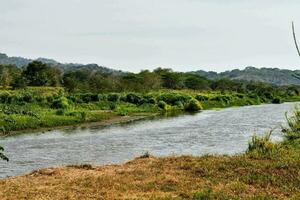 the river is flowing in the middle of the field photo