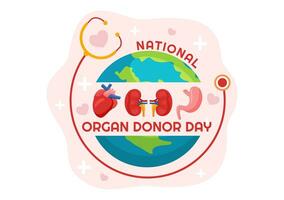 National Organ Donor Day Vector Illustration on 14 February with Kidneys, Heart, Lungs or Liver for Transplantation and Healthcare in Flat Background