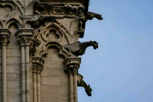 gargoyles on the side of a building photo
