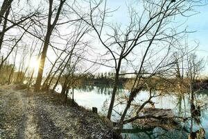 un suciedad la carretera Guías a un río con arboles foto