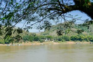 a view of the river from a tree photo