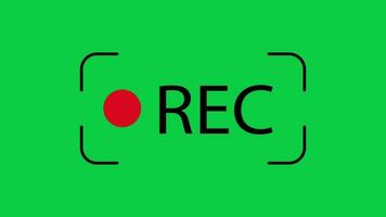 Camera recording REC symbol icon loop animation motion graphic isolated on green screen background video