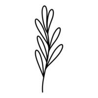 linda rama con hojas aislado en blanco antecedentes. vector dibujado a mano ilustración en garabatear estilo. Perfecto para tarjetas, logo, decoraciones, varios diseños botánico clipart.