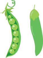 Set of two green peas isolated on white background vector illustration.