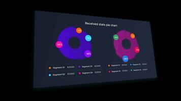 Statistic Progress Double Chart Diagram video