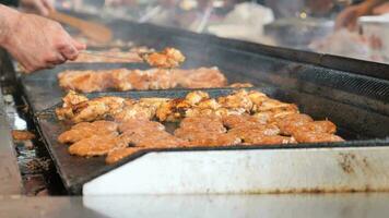 Beef and chicken steaks on the grill with flames. video