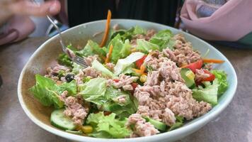 colher escolher atum salada a partir de uma tigela em mesa video