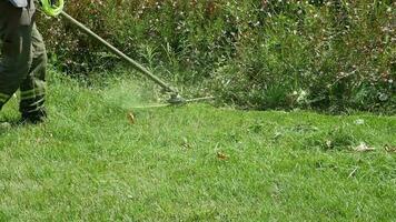 Mens trimmen gras in een tuin gebruik makend van een grasmaaier, video