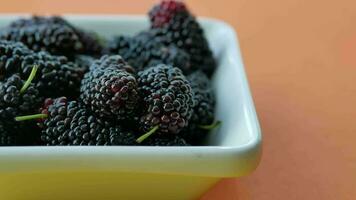 fresh Blackberry in a white bowl on table video