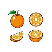 set of simple flat orange fruit illustration design, fresh orange fruit element with outlined style template vector