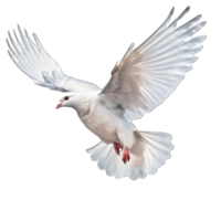 AI generated dove png