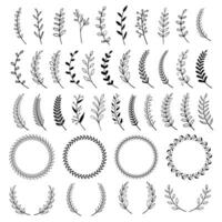 set of various laurel wreath ornaments with hand drawn style vector