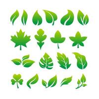 Set of Simple Fresh Green Leaf Icon Illustration Design, Various Leaves Collection Template Vector