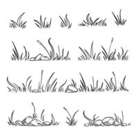 set of hand drawn grass illustration vector