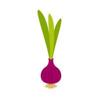 Onion vegetable plant flat illustration vector