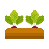 Radish vegetable plant flat illustration vector
