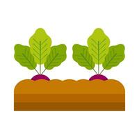 Radish vegetable plant flat illustration vector