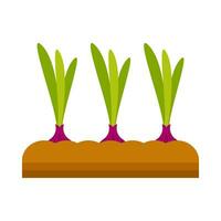 Onion vegetable plant flat illustration vector