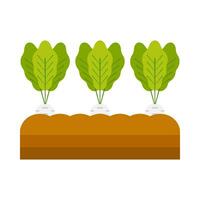Zanahoria vegetal planta plano ilustración vector