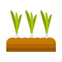 Onion vegetable plant flat illustration vector