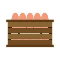 Poultry eggs flat illustration vector