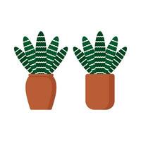 Beautiful ornamental plants flat illustration vector