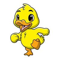 Cute duckling cartoon on white background vector