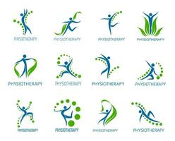 Physiotherapy, chiropractic therapy, massage icon vector