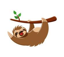 Cartoon sloth character hanging from tree branch, vector