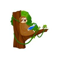 Cartoon funny sloth character reading on tree vector