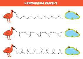 Tracing lines for kids. Cute cartoon scarlet ibis and pond. Handwriting practice. vector